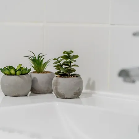 Appartement Renovated With Sunny Terrace And Ocean Views In Malibu Park Tenerife *